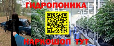стафф Сланцы